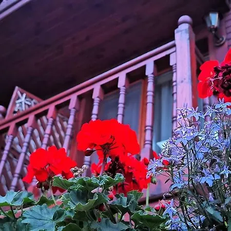 Albatros Old Town Hotel