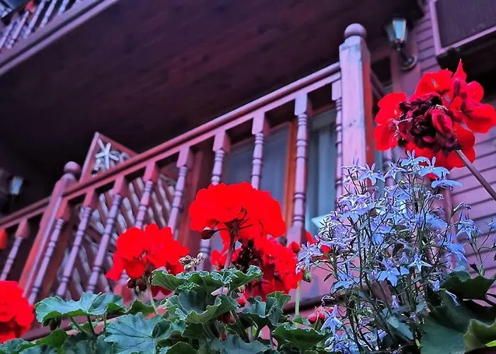 Albatros Old Town Hotel