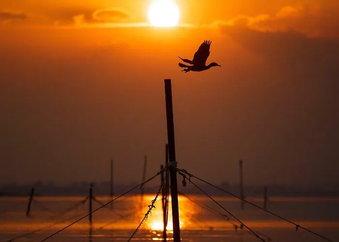 Hotel Albatros Old Town 3*